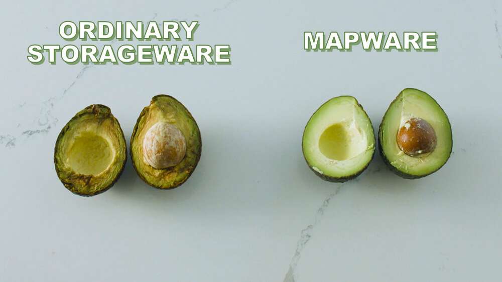 MAPWARE Comparison to Ordinary Storageware - Avocado